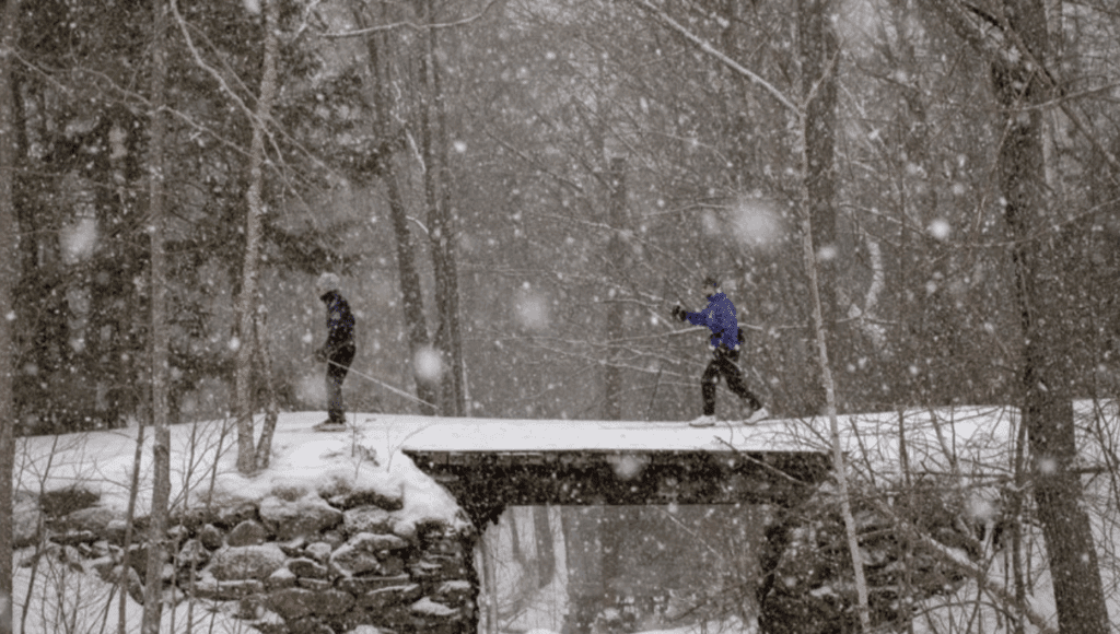 Trails in snowy winter